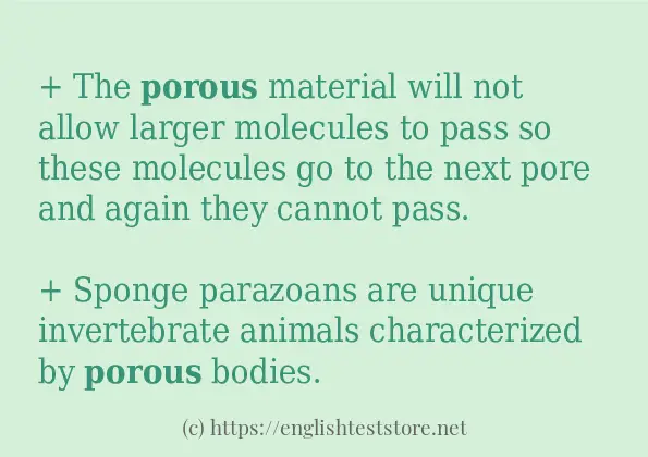 How to use in sentence of porous