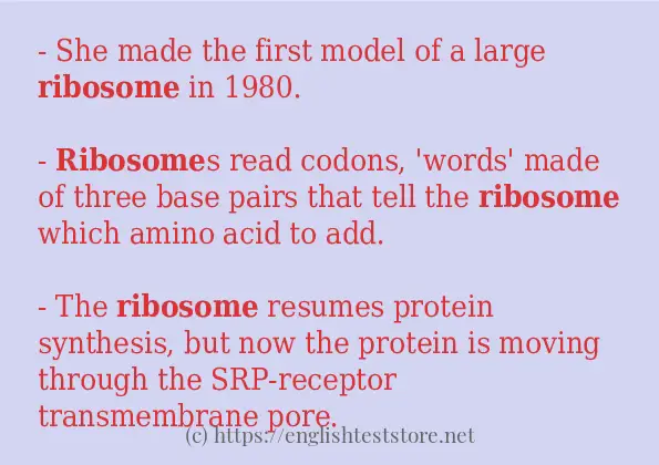 How to use in-sentence of ribosome