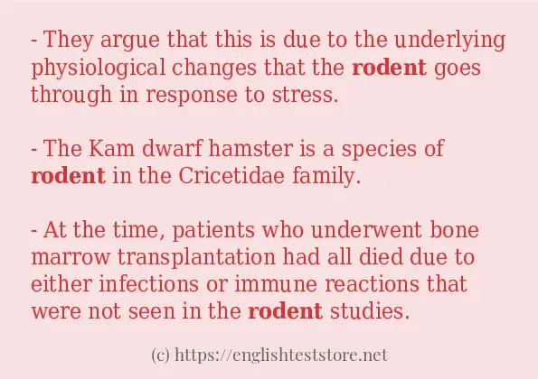 how-to-use-in-sentence-of-rodent-englishteststore-blog