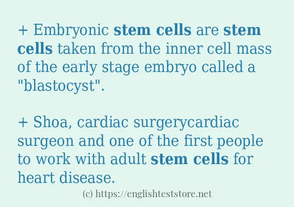 How to use in sentence of stem cells