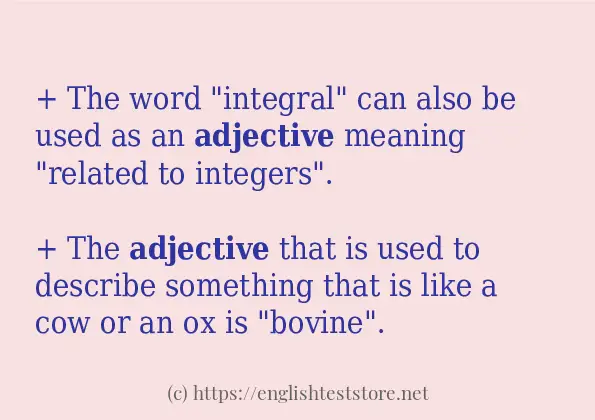 How to use the word adjective