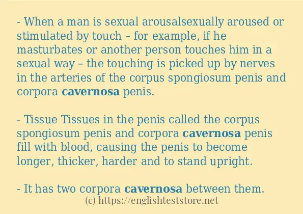 How to use the word cavernosa