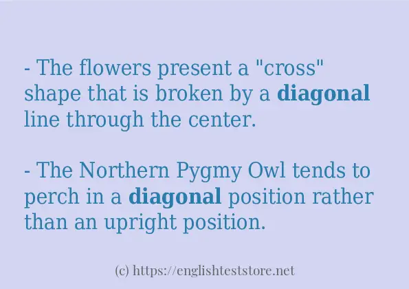 How to use the word diagonal