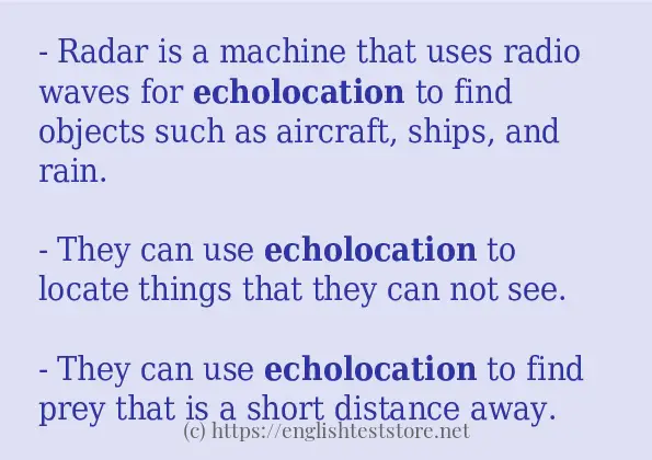 How to use the word echolocation