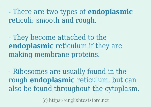 How to use the word endoplasmic