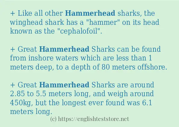 How to use the word hammerhead