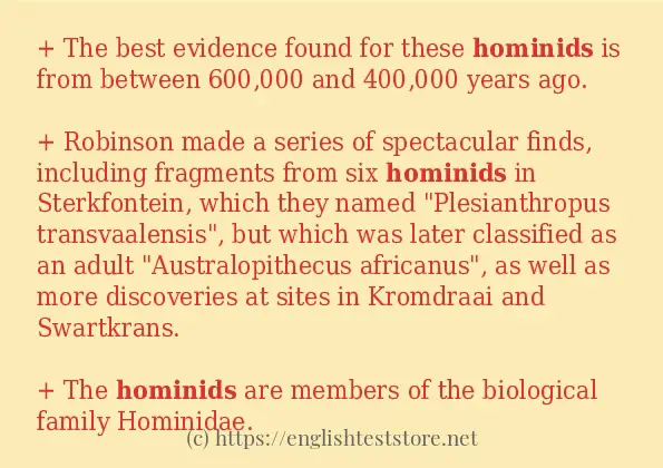 How to use the word hominids