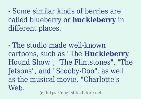 How to use the word huckleberry