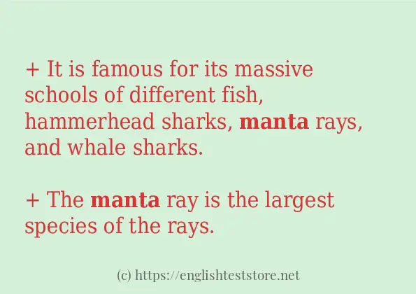How to use the word manta