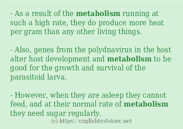 How to use the word metabolism