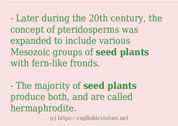 How to use the word seed plants How to use the word seed plants