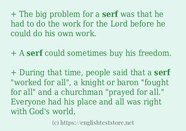 How to use the word serf