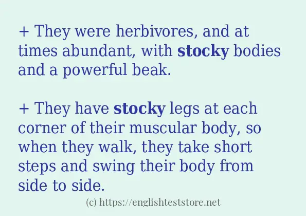 How to use the word stocky