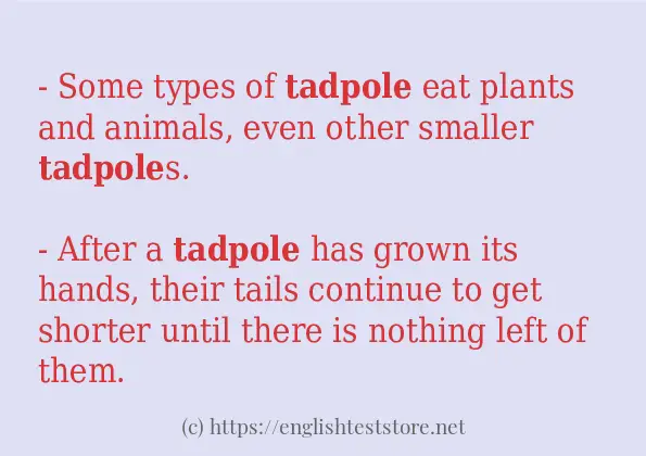 How to use the word tadpole