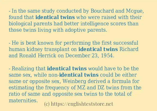 Identical twins some example sentences