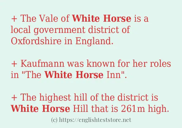 in-sentence-examples-of-white-horse-englishteststore-blog