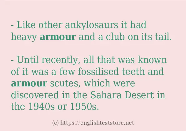 In-sentence examples of armour