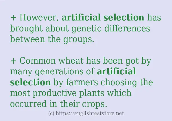 In-sentence examples of artificial selection