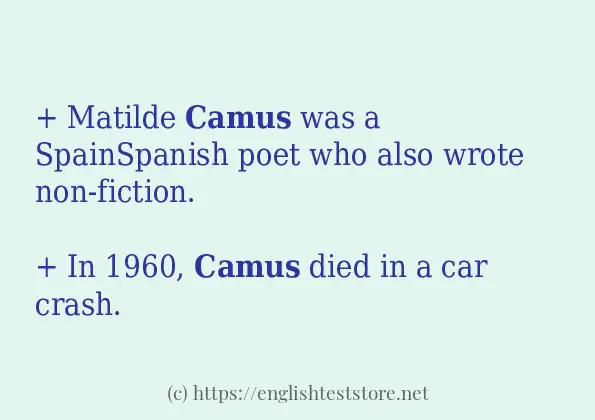 In-sentence examples of camus