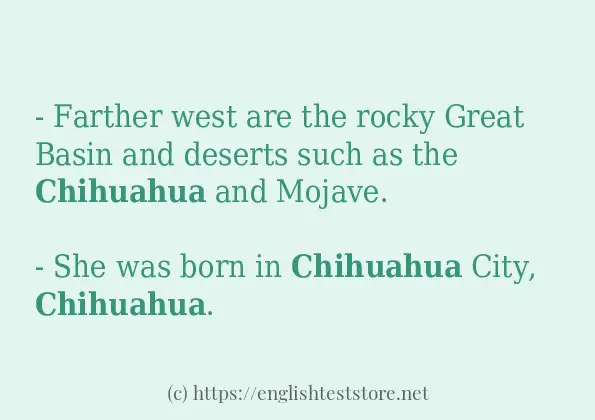 In sentence examples of chihuahua