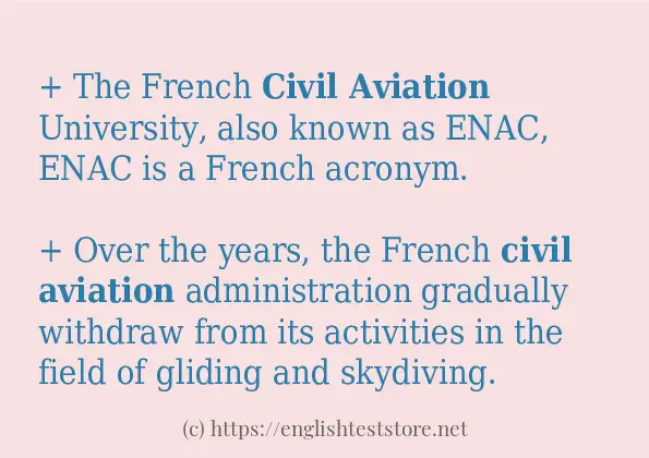 In sentence examples of civil aviation