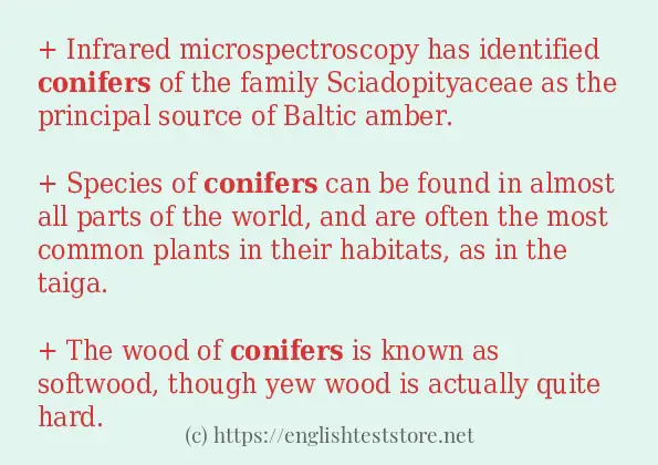 In-sentence examples of conifers
