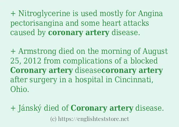 In-sentence examples of coronary artery