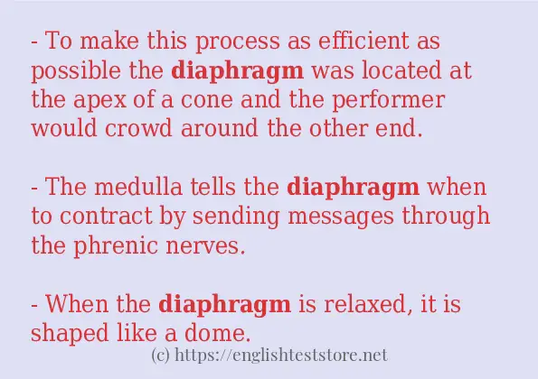 In-sentence examples of diaphragm