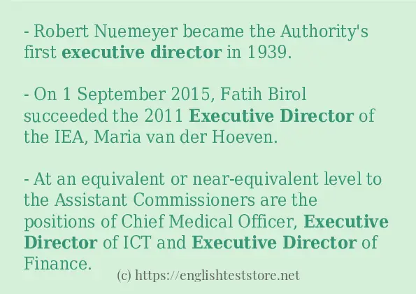 In-sentence examples of executive director