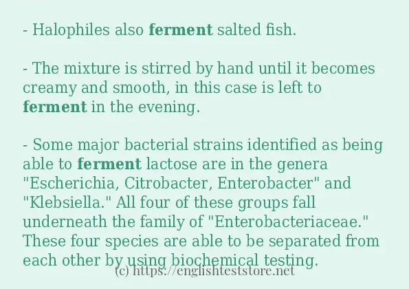 In-sentence examples of ferment