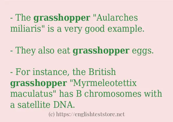 In-sentence examples of grasshopper