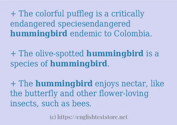 In-sentence examples of hummingbird