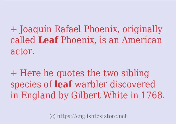 Leaf Examples In Sentence