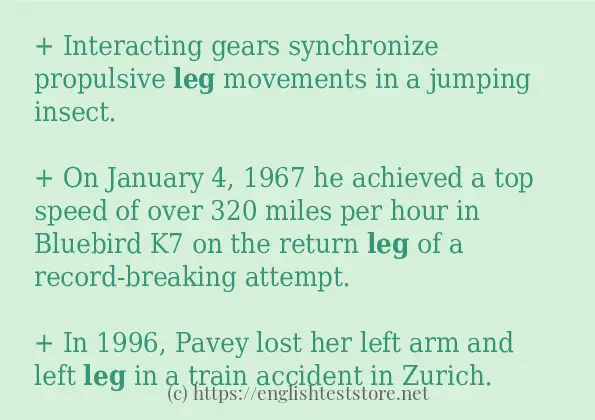 In sentence examples of leg