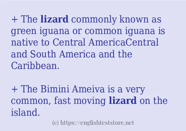 In-sentence examples of lizard