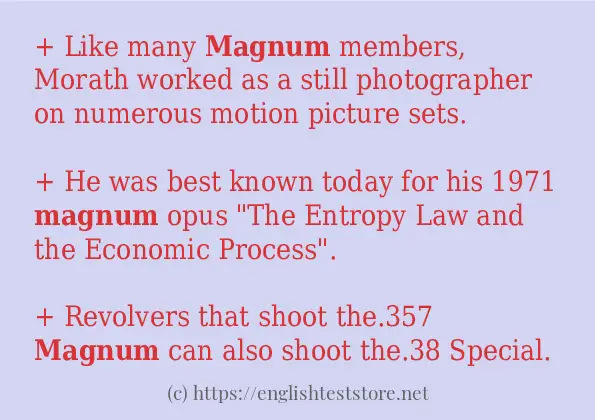 In-sentence examples of magnum