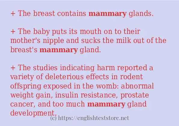 In sentence examples of mammary