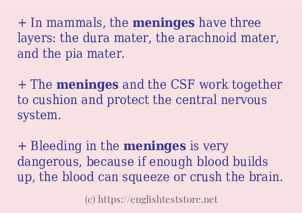 In sentence examples of meninges