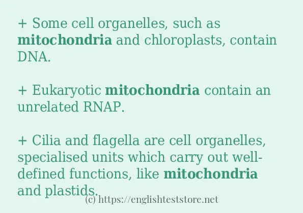 In-sentence examples of mitochondria In-sentence examples of mitochondria
