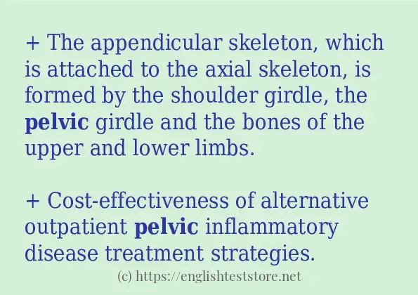 In-sentence examples of pelvic