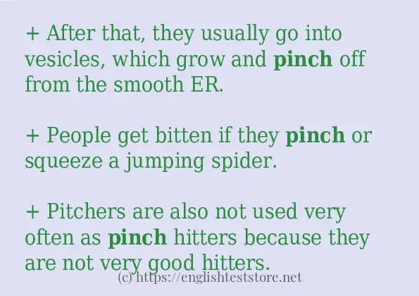 In sentence examples of pinch