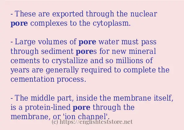 in-sentence-examples-of-pore