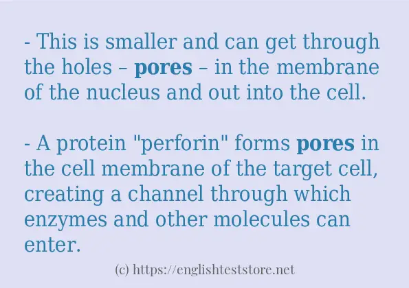 In-sentence examples of pores