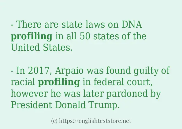 In-sentence examples of profiling