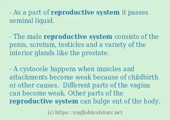 In sentence examples of reproductive system