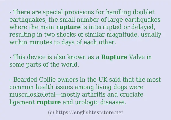 In-sentence examples of rupture