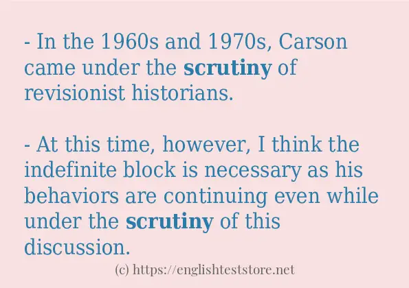 In-sentence examples of scrutiny