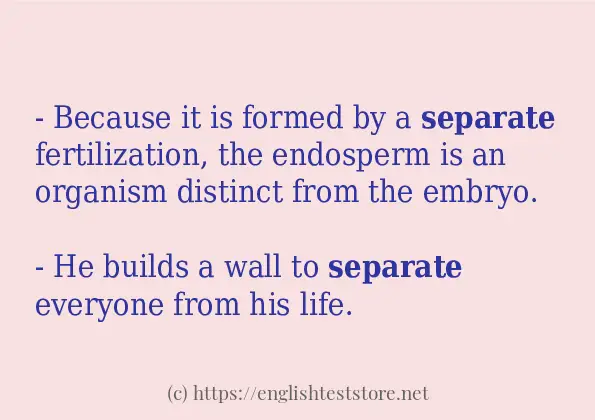 in-sentence-examples-of-separate-englishteststore-blog