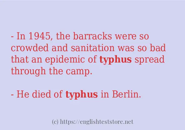 In-sentence examples of typhus