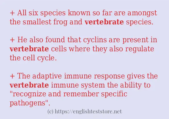 In-sentence examples of vertebrate